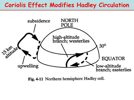 Coriolis Effect Modifies Hadley Circulation. Modified Hadley Circulation Horizontal motions convergence: coming together divergence: spreading apart Vertical.