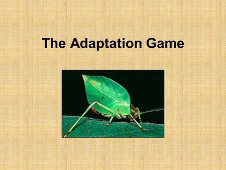 The Adaptation Game.