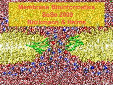V1 SS 2009 Membrane Bioinformatics 1 Membrane Bioinformatics SoSe 2009 Böckmann & Helms.