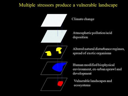 Multiple stressors produce a vulnerable landscape Climate change Atmospheric pollution/acid deposition Altered natural disturbance regimes, spread of exotic.