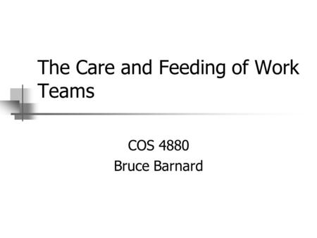 The Care and Feeding of Work Teams COS 4880 Bruce Barnard.
