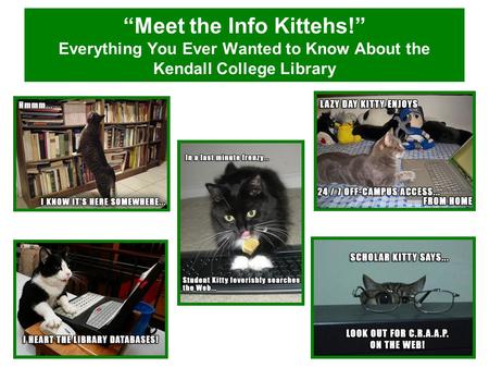 “Meet the Info Kittehs!” Everything You Ever Wanted to Know About the Kendall College Library.