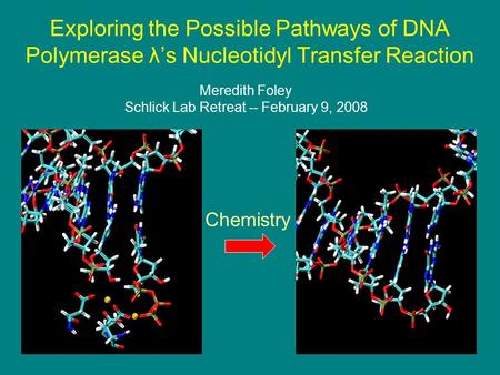1 Exploring the Possible Pathways of DNA Polymerase λ’s Nucleotidyl Transfer Reaction Meredith Foley Schlick Lab Retreat -- February 9, 2008 Chemistry.
