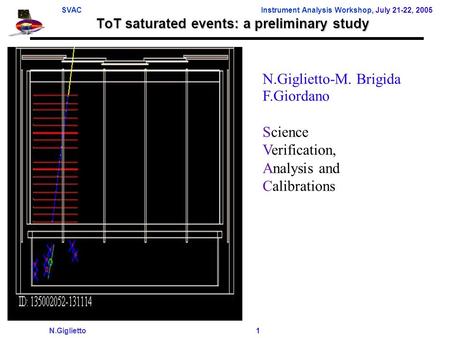 SVACInstrument Analysis Workshop, July 21-22, 2005 N.Giglietto 1 ToT saturated events: a preliminary study N.Giglietto-M. Brigida F.Giordano Science Verification,