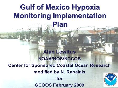 Gulf of Mexico Hypoxia Monitoring Implementation Plan Alan Lewitus NOAA/NOS/NCCOS Center for Sponsored Coastal Ocean Research modified by N. Rabalais for.