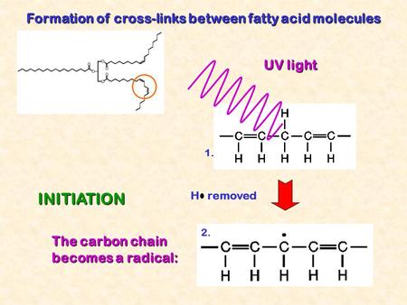 UV light H removed 1. Formation of cross-links between fatty acid molecules The carbon chain becomes a radical: INITIATION 2.