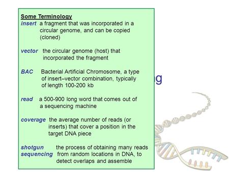 DNA Sequencing Some Terminology insert a fragment that was incorporated in a circular genome, and can be copied (cloned) vector the circular genome (host)