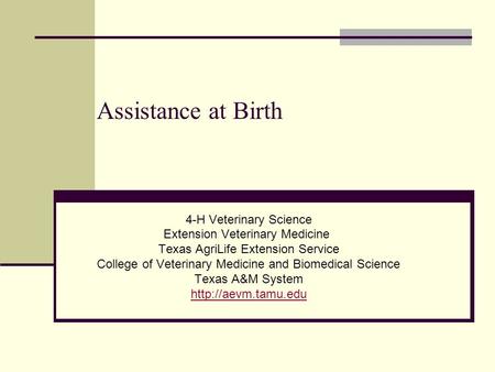 Assistance at Birth 4-H Veterinary Science Extension Veterinary Medicine Texas AgriLife Extension Service College of Veterinary Medicine and Biomedical.