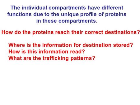 The individual compartments have different functions due to the unique profile of proteins in these compartments. How do the proteins reach their correct.