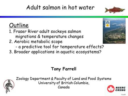 Tony Farrell Zoology Department & Faculty of Land and Food Systems University of British Columbia, Canada Adult salmon in hot water Outline 1. Fraser River.