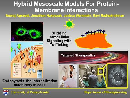 University of Pennsylvania Department of Bioengineering Hybrid Mesoscale Models For Protein- Membrane Interactions Neeraj Agrawal, Jonathan Nukpezah, Joshua.