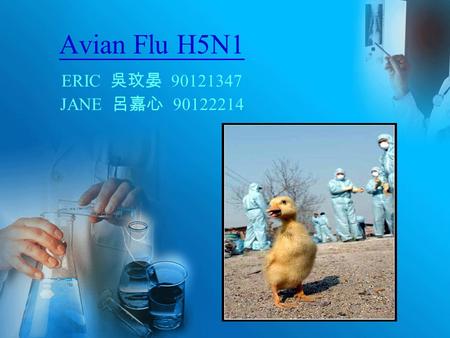 Avian Flu H5N1 ERIC 吳玟晏 90121347 JANE 呂嘉心 90122214.
