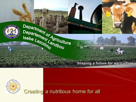 Creating a nutritious home for all. STRATEGIC ENVIRONMENT Western Cape Department of Agriculture (Prepared by: Dirk Troskie, Specialist Agricultural Economist)