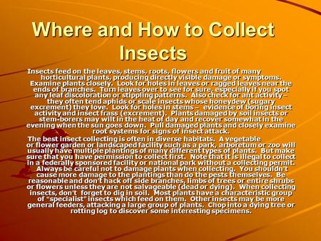 Where and How to Collect Insects Insects feed on the leaves, stems, roots, flowers and fruit of many horticultural plants, producing directly visible damage.