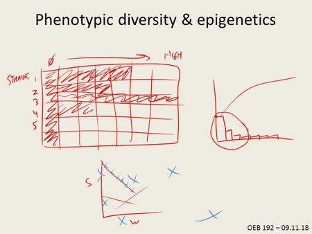 OEB 192 – 09.11.18 Phenotypic diversity & epigenetics.