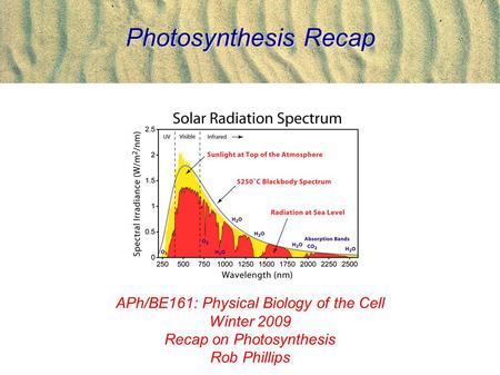 Photosynthesis Recap APh/BE161: Physical Biology of the Cell Winter 2009 Recap on Photosynthesis Rob Phillips.