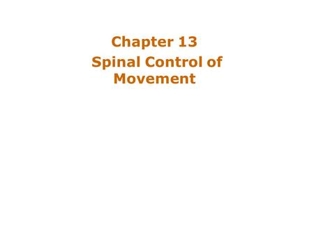Chapter 13 Spinal Control of Movement