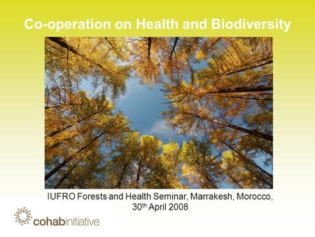 Co-operation on Health and Biodiversity IUFRO Forests and Health Seminar, Marrakesh, Morocco, 30 th April 2008.
