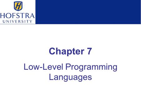 Low-Level Programming Languages