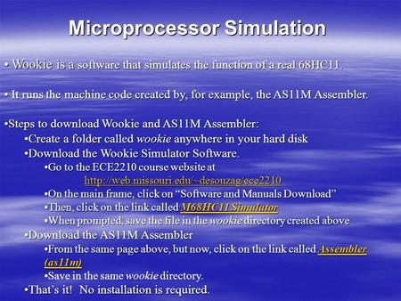 Microprocessor Simulation