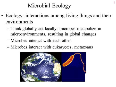 Microbial Ecology Ecology: interactions among living things and their environments Think globally act locally: microbes metabolize in microenvironments,