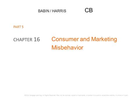 Consumer and Marketing Misbehavior