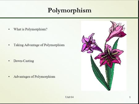 Polymorphism What is Polymorphism? Taking Advantage of Polymorphism
