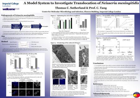 A Model System to Investigate Translocation of Neisseria meningitidis Thomas C. Sutherland & Prof. C. Tang Centre for Molecular Microbiology and Infection,