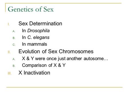 Genetics of Sex Sex Determination Evolution of Sex Chromosomes