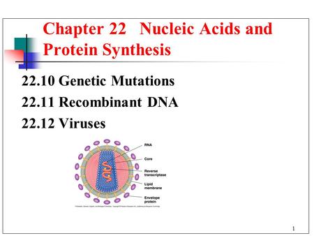 1 22.10 Genetic Mutations 22.11 Recombinant DNA 22.12 Viruses Chapter 22 Nucleic Acids and Protein Synthesis.