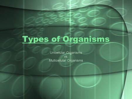 Unicellular Organisms vs. Multicellular Organisms