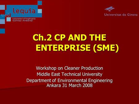 Ch.2 CP AND THE ENTERPRISE (SME) Workshop on Cleaner Production Middle East Technical University Department of Environmental Engineering Ankara 31 March.