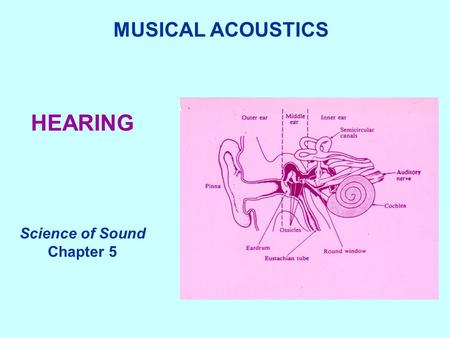 HEARING MUSICAL ACOUSTICS Science of Sound Chapter 5.