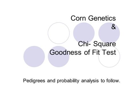 Corn Genetics & Chi- Square Goodness of Fit Test