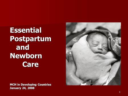 1 EssentialPostpartum and andNewborn Care Care MCH in Developing Countries January 24, 2008.