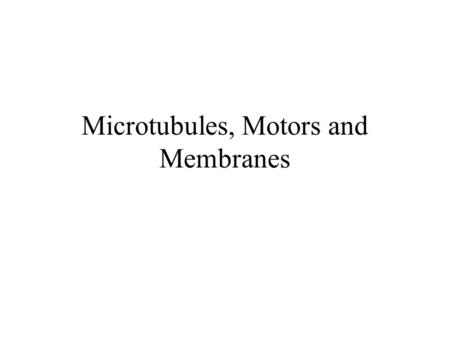Microtubules, Motors and Membranes. Transport on Microtubules In neurons there is visible transport of vesicles from cell body to growth cone –Transcription.