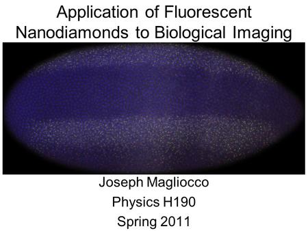 Application of Fluorescent Nanodiamonds to Biological Imaging Joseph Magliocco Physics H190 Spring 2011.