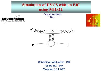 Salvatore Fazio BNL University of Washington – INT Seattle, WA – USA November 1-13, 2010 Simulation of DVCS with an EIC using MILOU pp  