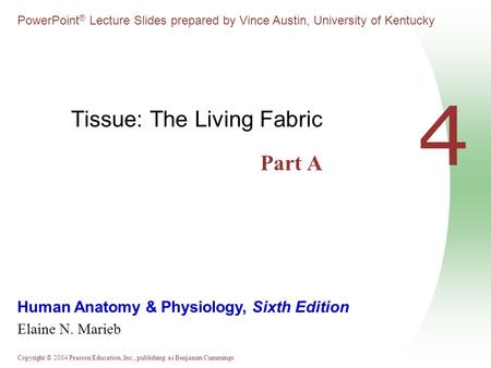 Tissue: The Living Fabric Part A