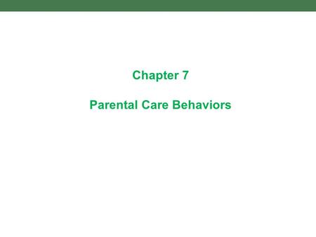Chapter 7 Parental Care Behaviors. 7.1 Some species provide little or no parental care Little or no parental care provided by salmon, but female Nile.