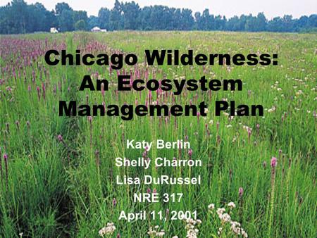 Chicago Wilderness: An Ecosystem Management Plan Katy Berlin Shelly Charron Lisa DuRussel NRE 317 April 11, 2001.