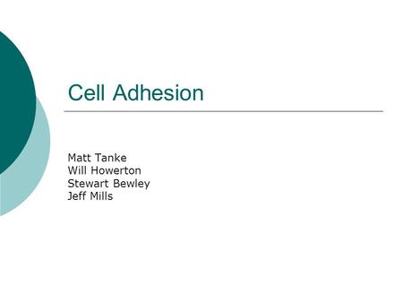 Cell Adhesion Matt Tanke Will Howerton Stewart Bewley Jeff Mills.