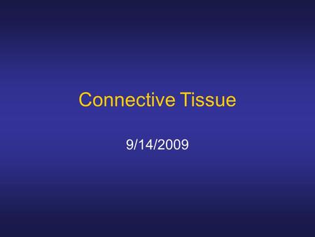Connective Tissue 9/14/2009. #29 Small Intestine.
