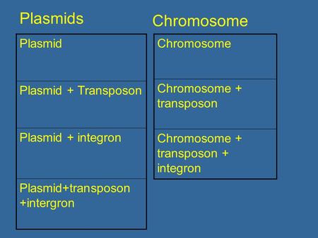 Plasmids Chromosome Plasmid Plasmid + Transposon Plasmid + integron Plasmid+transposon +intergron Chromosome Chromosome + transposon Chromosome + transposon.