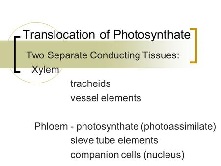 Translocation of Photosynthate Two Separate Conducting Tissues: Xylem tracheids vessel elements Phloem - photosynthate (photoassimilate) sieve tube elements.