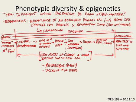 OEB 192 – 10.11.10 Phenotypic diversity & epigenetics.
