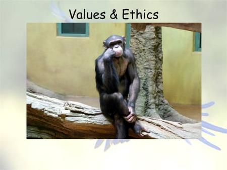 Values & Ethics Instrumental or Utilitarian. Values & Ethics Conservation biologists tend to have a skewed perspective of the value of biodiversity and.