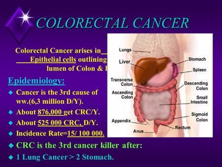 COLORECTAL CANCER Epidemiology: CRC is the 3rd cancer killer after: