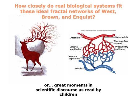 How closely do real biological systems fit these ideal fractal networks of West, Brown, and Enquist? or… great moments in scientific discourse as read.