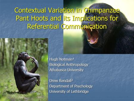 Contextual Variation in Chimpanzee Pant Hoots and its Implications for Referential Communication Hugh Notman¹ Biological Anthropology Athabasca University.